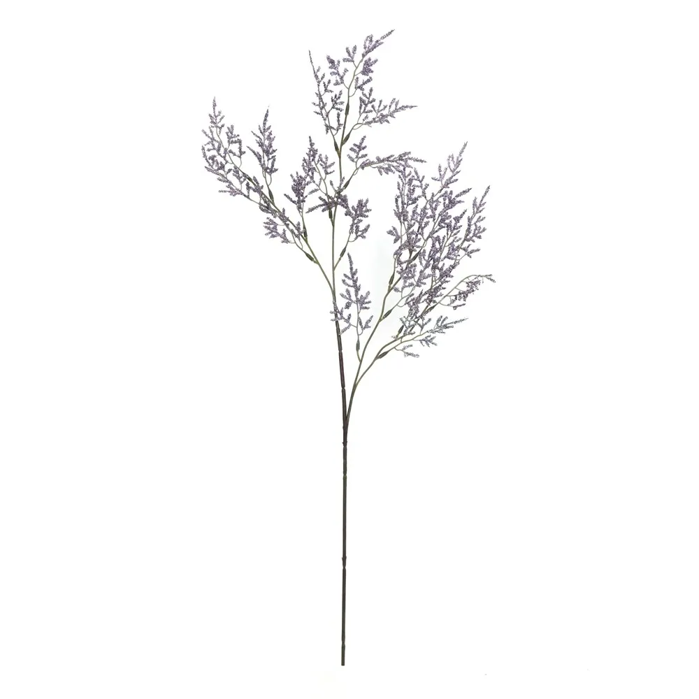 A single lover's herb