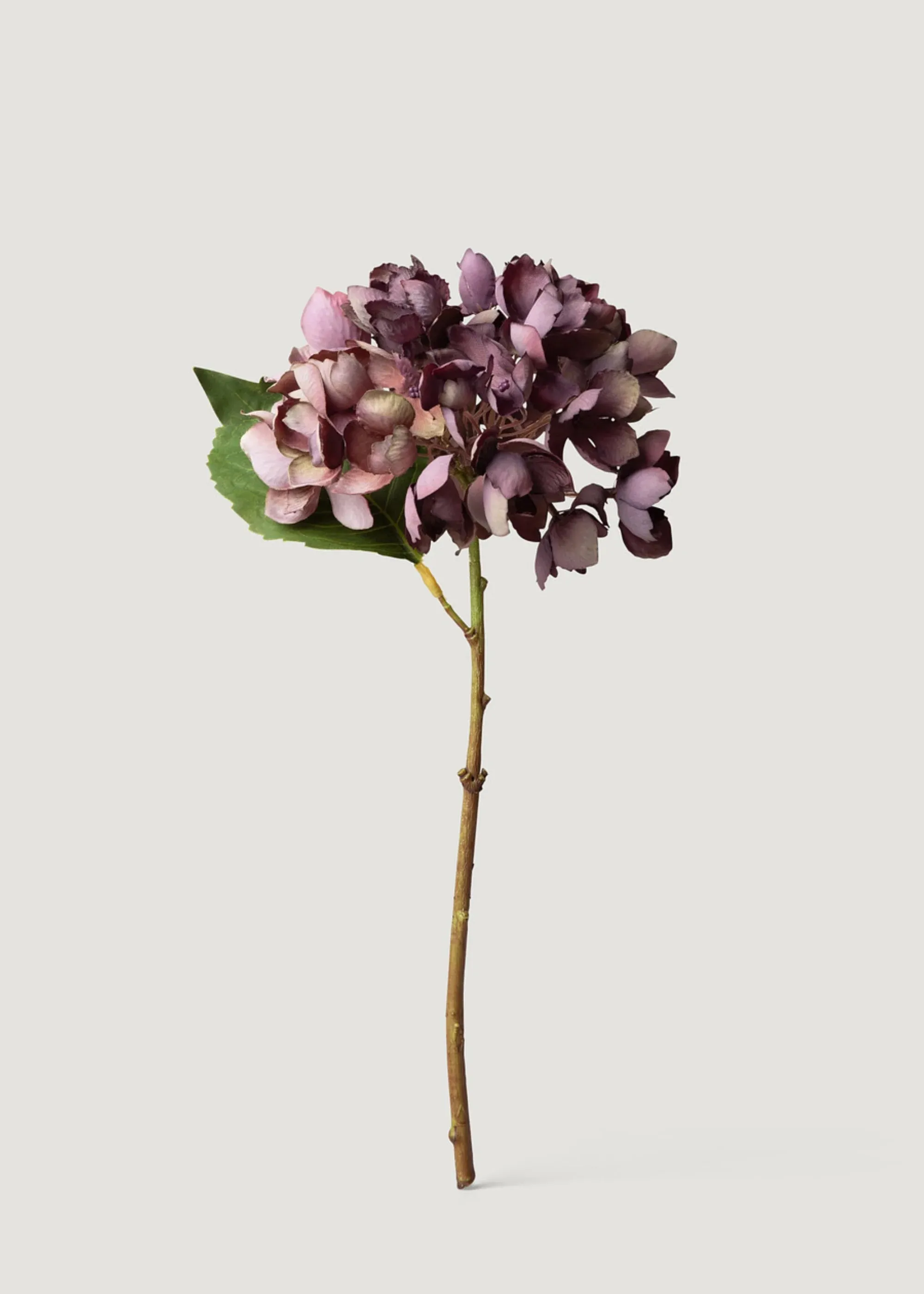 Dried Look Fake Hydrangea Flower