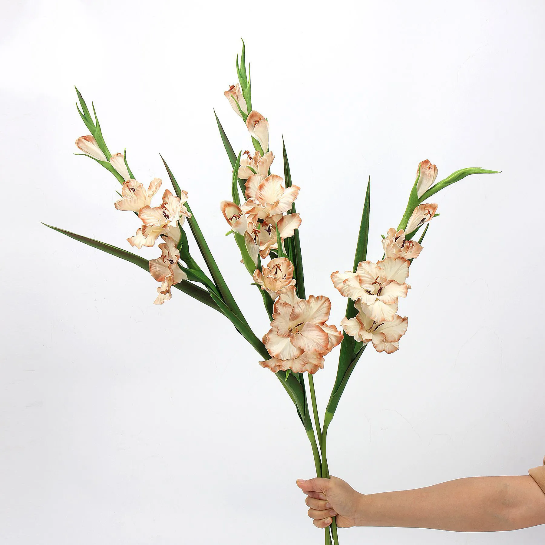 Unveiling – What Simulation Flowers Do Top Internet Celebrities Use in Their Homes?