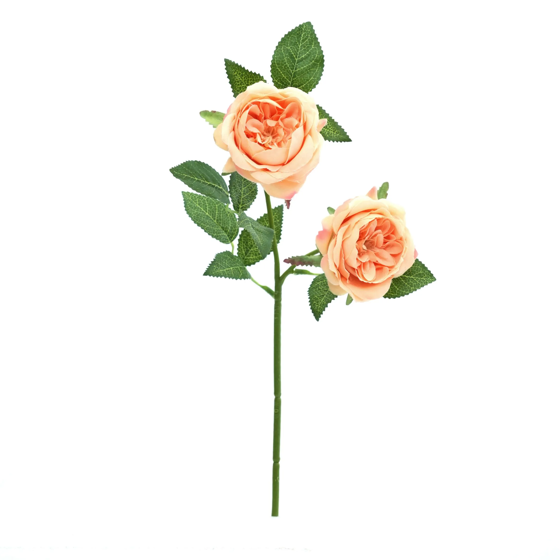 2 roses