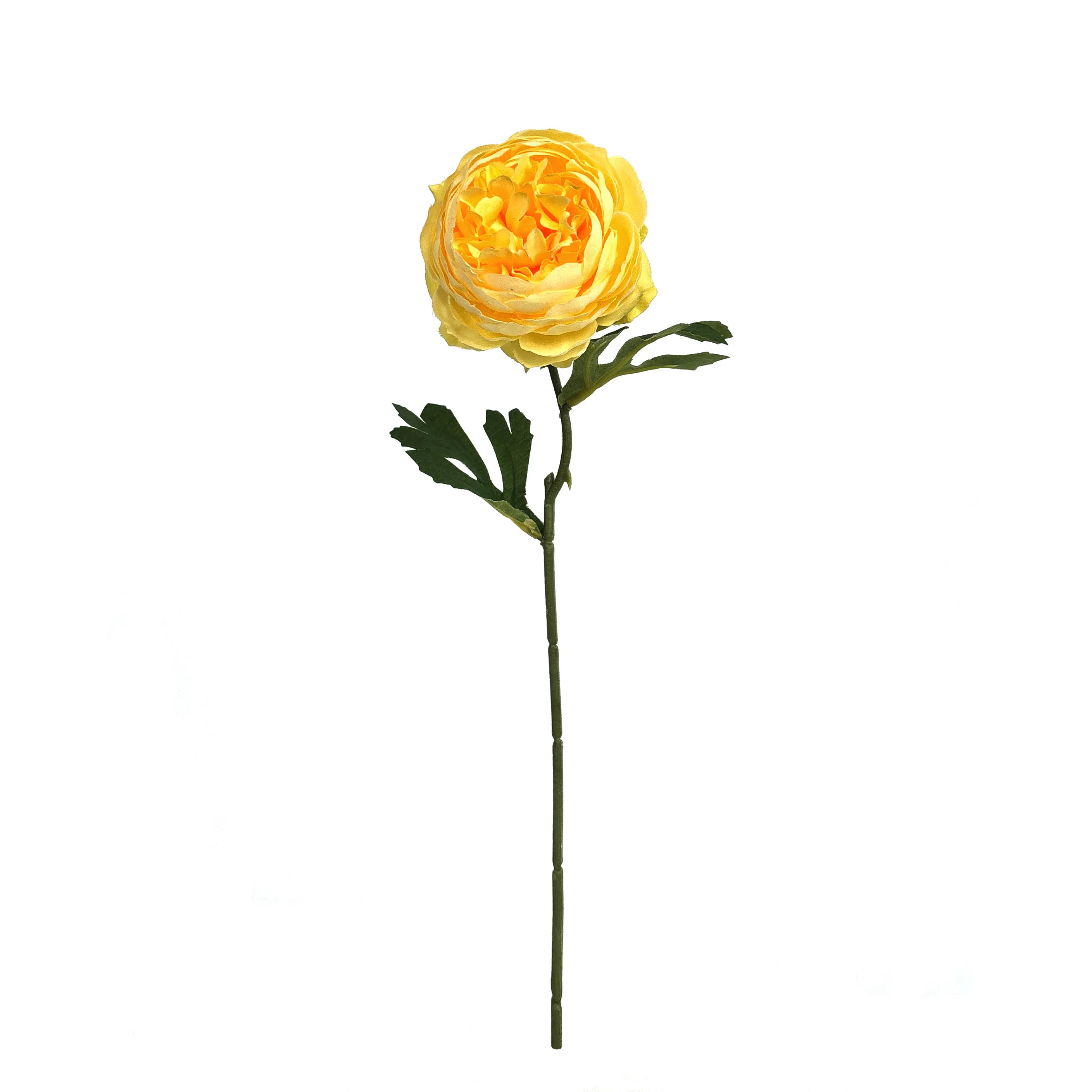 Monoheaded peonies