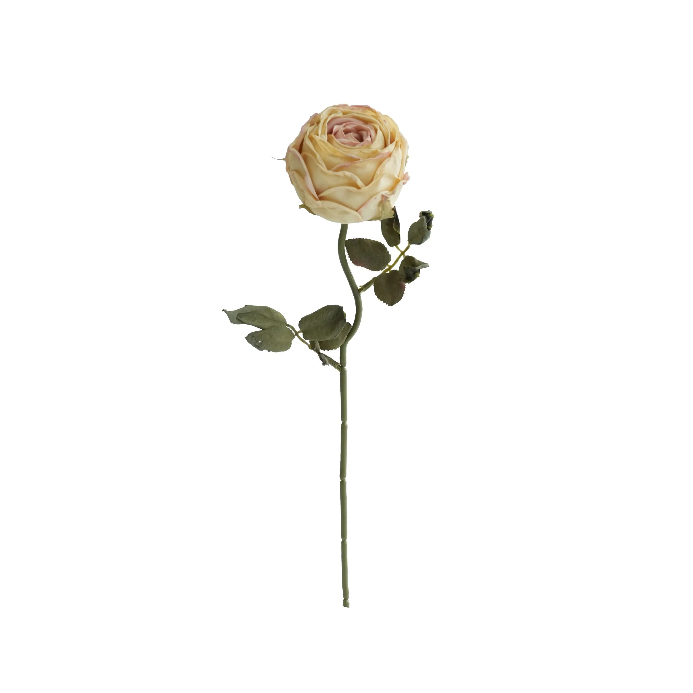 Chopped round roses