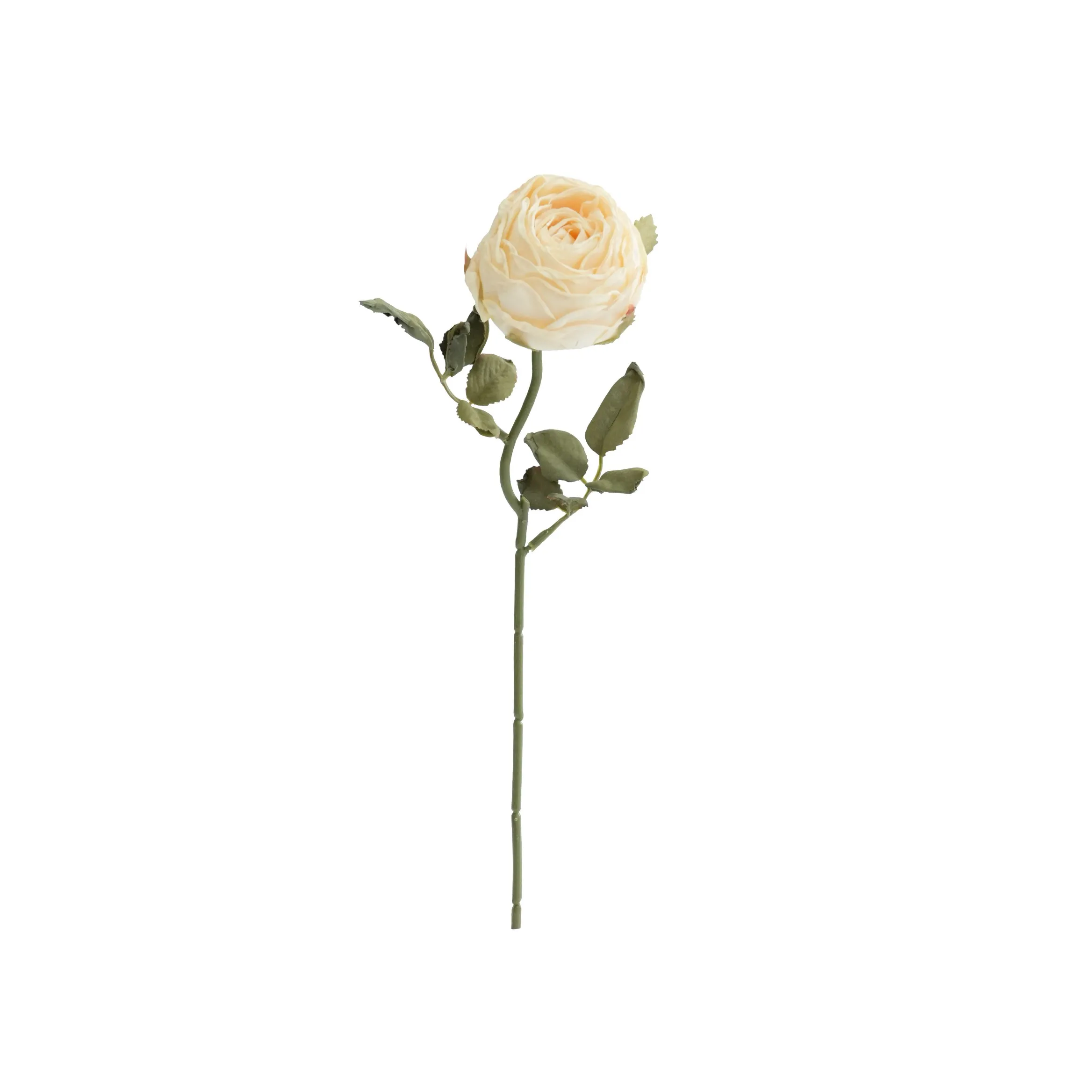 Chopped round roses