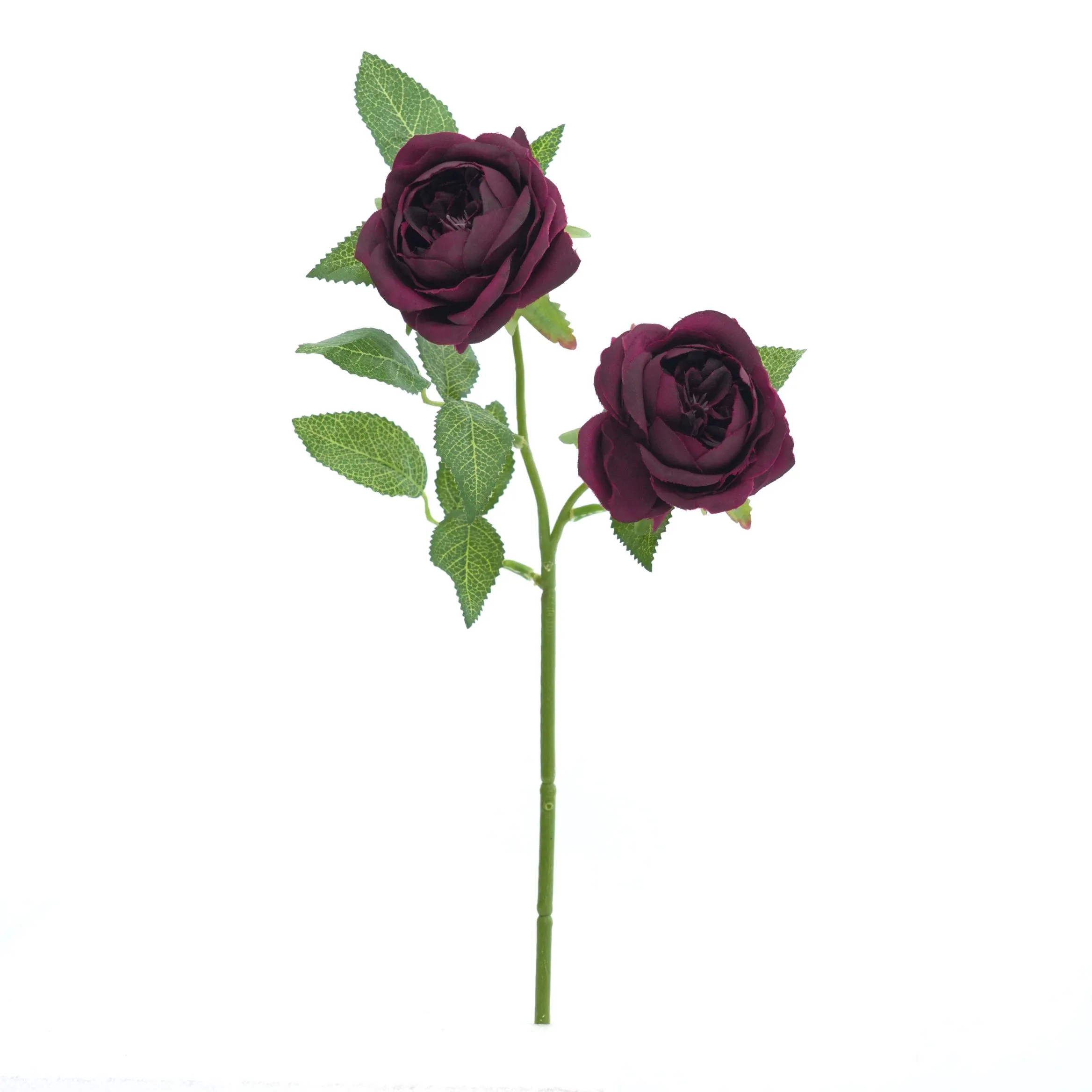 2 roses