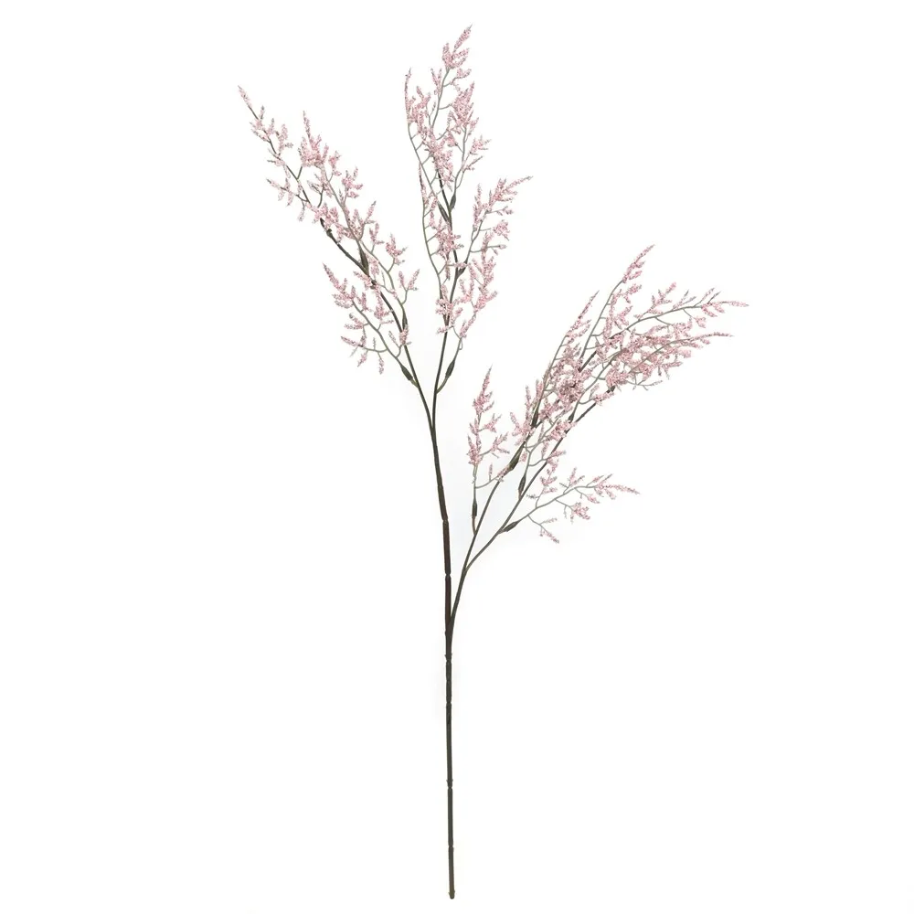 A single lover's herb