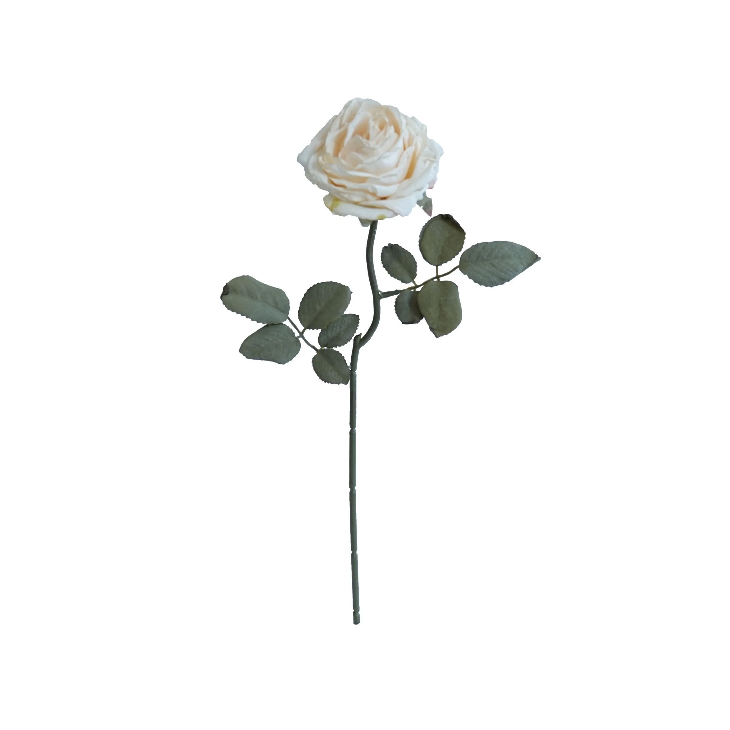 Cork-bordered multilayered roses